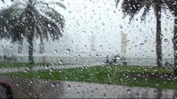 الأرصاد تحذر من تقلبات الخريف.. منار غانم تكشف خريطة الأمطار ودرجات الحرارة الأرصاد تحذر من تقلبات الخريف.. منار غانم تكشف خريطة الأمطار ودرجات الحرارة