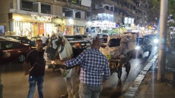 الجيزة تحظر سير العربات الكارو وملاحقة الفريزة في حملة مكبرة بفيصل والمريوطية الجيزة تحظر سير العربات الكارو وملاحقة الفريزة في حملة مكبرة بفيصل والمريوطية