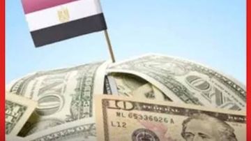 من 33 إلى 46 .. نائب يكشف تطورات خدمة الدين منذ برلمان 2012 من 33 إلى 46 .. نائب يكشف تطورات خدمة الدين منذ برلمان 2012