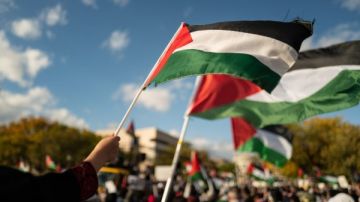 خبير علاقات دولية: مصر صمام الأمان للقضية الفلسطينية
