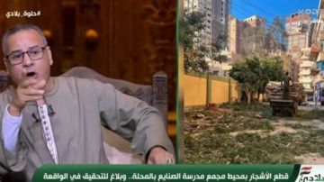 عاجل جابر القرموطي يستنكر قطع أشجار المحلة.. أين الرقابة؟ عاجل جابر القرموطي يستنكر قطع أشجار المحلة.. أين الرقابة؟