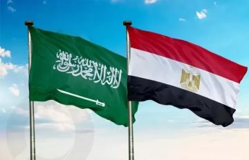 مصر تدين الهجمات على المملكة العربية السعودية وتؤكد تضامنها الكامل معها مصر تدين الهجمات على المملكة العربية السعودية وتؤكد تضامنها الكامل معها