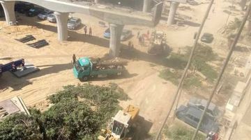 قرار عاجل من النيابة العامة بشأن بلاغات قطع الأشجار قرار عاجل من النيابة العامة بشأن بلاغات قطع الأشجار