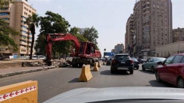 ملف قطع الأشجار أصبح غير مفهوم .. تامر الشهاوي ينتقد التصريحات الحكومية المتضاربة ملف قطع الأشجار أصبح غير مفهوم .. تامر الشهاوي ينتقد التصريحات الحكومية المتضاربة
