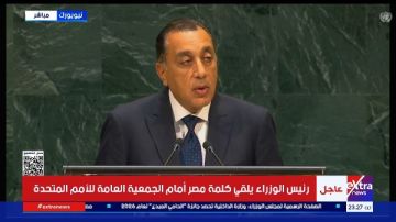 أستاذ علاقات دولية: كلمة مصر بالأمم المتحدة عكست تحركاتها ودعمت حل الدولتين أستاذ علاقات دولية: كلمة مصر بالأمم المتحدة عكست تحركاتها ودعمت حل الدولتين