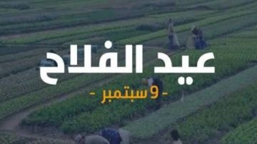 عيد الفلاح المصري.. حكاية وطن تبدأ من الحقل عيد الفلاح المصري.. حكاية وطن تبدأ من الحقل