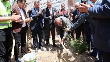 محافظ المنيا: التوسع في المساحات الخضراء بزراعة 42 ألف شجرة محافظ المنيا: التوسع في المساحات الخضراء بزراعة 42 ألف شجرة