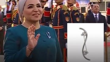 بروش السيدة انتصار السيسي يلفت الأنظار في استقبال الرئيس الصيني وقرينته بروش السيدة انتصار السيسي يلفت الأنظار في استقبال الرئيس الصيني وقرينته