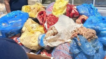 ضبط 443 كيلو لحوم ودواجن ورنجة فاسدة في حملة بالغربية ضبط 443 كيلو لحوم ودواجن ورنجة فاسدة في حملة بالغربية