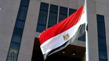 كيف تعيد الدبلوماسية المصرية صياغة دورها الإقليمي والدولي؟ .. أستاذ علوم سياسية يوضح
