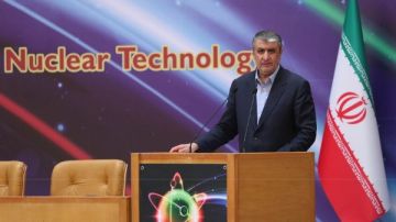 النمسا تمنع رئيس منظمة الطاقة الذرية الإيرانية من دخول فيينا