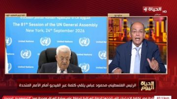 أول تعليق لمحمد شردي على منع الرئيس الفلسطيني من حضور اجتماع الأمم المتحدة أول تعليق لمحمد شردي على منع الرئيس الفلسطيني من حضور اجتماع الأمم المتحدة