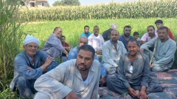 من حقول سوهاج إلى الأمن الغذائي.. الزراعة تدعم التوسع في المحاصيل الزيتية من حقول سوهاج إلى الأمن الغذائي.. الزراعة تدعم التوسع في المحاصيل الزيتية
