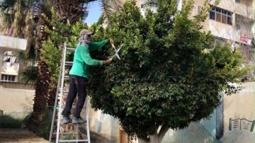 قبل انطلاق الدراسة.. حملات مكثفة لتجميل مدارس السويس ورفع كفاءة محيطها قبل انطلاق الدراسة.. حملات مكثفة لتجميل مدارس السويس ورفع كفاءة محيطها