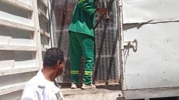 لمواجهة الكلاب الضالة.. محافظ الدقهلية يكلف بتكثيف حملات الطب البيطري بحي غرب لمواجهة الكلاب الضالة.. محافظ الدقهلية يكلف بتكثيف حملات الطب البيطري بحي غرب