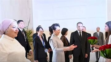 انتصار السيسي تنشر فيديو من استقبال بينغ لي يوان وتكشف تفاصيل الجولة انتصار السيسي تنشر فيديو من استقبال بينغ لي يوان وتكشف تفاصيل الجولة