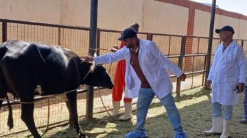 بيطرى أسوان : تحصين أكثر من 45 ألف حيوان و64 ألف طائر ضد الأمراض الوبائية بيطرى أسوان : تحصين أكثر من 45 ألف حيوان و64 ألف طائر ضد الأمراض الوبائية