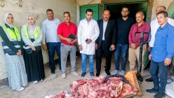 ضبط 264 كجم لحوم ودواجن فاسدة خلال حملات مكبرة بحي شرق سوهاج ضبط 264 كجم لحوم ودواجن فاسدة خلال حملات مكبرة بحي شرق سوهاج