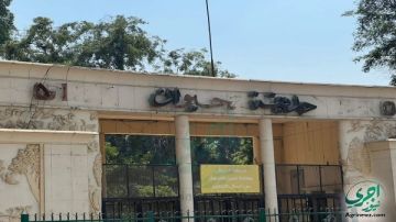 قبل افتتاحها.. مفاجآت بالجملة تنتظر زوار حديقة الحيوان بالجيزة قبل افتتاحها.. مفاجآت بالجملة تنتظر زوار حديقة الحيوان بالجيزة