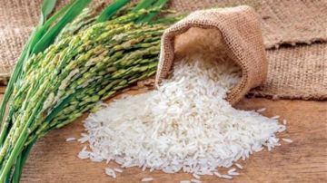 رئيس شعبة الأرز يحسم الجدل ويوضح السعر الحالي في الأسواق عاجل رئيس شعبة الأرز يحسم الجدل ويوضح السعر الحالي في الأسواق عاجل
