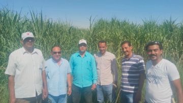 زراعة الأقصر تفحص قصب السكر بإسنا وتوجه المزارعين بالتعامل مع الإصابات زراعة الأقصر تفحص قصب السكر بإسنا وتوجه المزارعين بالتعامل مع الإصابات