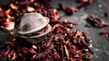 فوائد الكركديه الصحية وأبرز مخاطرها فوائد الكركديه الصحية وأبرز مخاطرها