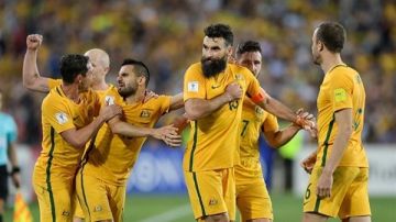 مدرب أستراليا يلمح للرحيل بعد كأس آسيا.. تفاصيل مدرب أستراليا يلمح للرحيل بعد كأس آسيا.. تفاصيل