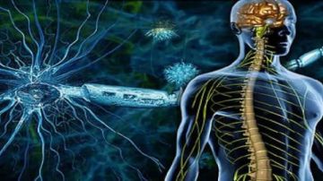 أعراض التصلب المتعدد .. تعرف عليها أعراض التصلب المتعدد .. تعرف عليها