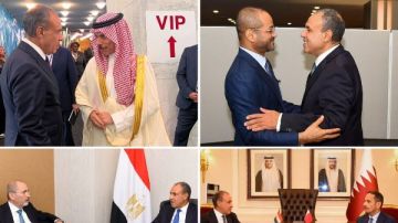 وزير الخارجية يكثف تحركاته في نيويورك لدعم القضايا العربية وتعزيز التنسيق الإقليمي وزير الخارجية يكثف تحركاته في نيويورك لدعم القضايا العربية وتعزيز التنسيق الإقليمي