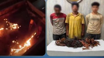 القبض على لصوص سرقوا كابلات الكهرباء من أعمدة الإنارة بالجيزة القبض على لصوص سرقوا كابلات الكهرباء من أعمدة الإنارة بالجيزة