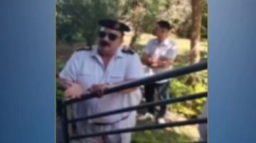 الداخلية تنفي ادعاءات سيدة بإزالة الأشجار المقابلة لشقتها في مدينة بدر..وهذه عقوبة الجريمة الداخلية تنفي ادعاءات سيدة بإزالة الأشجار المقابلة لشقتها في مدينة بدر..وهذه عقوبة الجريمة