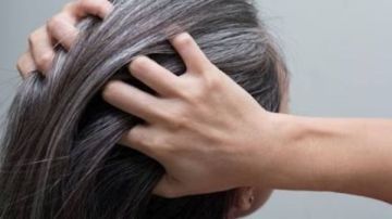من غير صبغة.. طرق طبيعية للتعامل مع شيب الشعر وإخفاء الشعر الأبيض من غير صبغة.. طرق طبيعية للتعامل مع شيب الشعر وإخفاء الشعر الأبيض