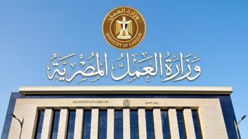 200 فرصة لعمال النخيل بالواحات البحرية.. براتب 9 آلاف جنيه 200 فرصة لعمال النخيل بالواحات البحرية.. براتب 9 آلاف جنيه