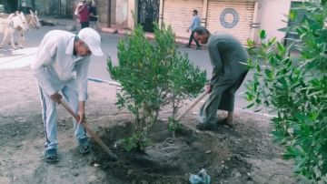أخبار قنا مدمن مخدرات ينهى حياة والده المسن.. وإنهاء خصومة ثأرية بين عائلتين بقرية الخطارة أخبار قنا مدمن مخدرات ينهى حياة والده المسن.. وإنهاء خصومة ثأرية بين عائلتين بقرية الخطارة