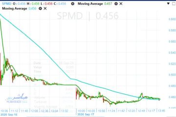 سبيد ميديكال يواصل تصدره نشاط السوق.. بانخفاض نحو 5 سبيد ميديكال يواصل تصدره نشاط السوق.. بانخفاض نحو 5