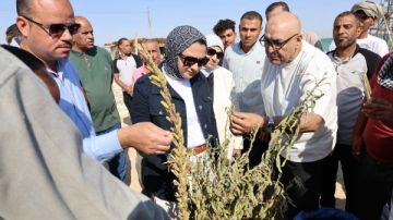 محافظ الوادي الجديد تتفقد عددا من المشروعات الاستثمارية الزراعية ببحيرة باريس محافظ الوادي الجديد تتفقد عددا من المشروعات الاستثمارية الزراعية ببحيرة باريس