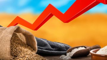 أسعار الغذاء العالمية عند أعلى مستوياتها منذ 2022.. تصاعد المخاوف بشأن الإمدادات أسعار الغذاء العالمية عند أعلى مستوياتها منذ 2022.. تصاعد المخاوف بشأن الإمدادات