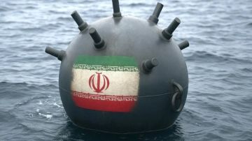هل عدلت إيران أنظمة صواريخها لإطلاق ألغام في مضيق هرمز؟ هل عدلت إيران أنظمة صواريخها لإطلاق ألغام في مضيق هرمز؟
