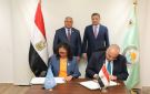 مصر.. الزراعة والفاو تطلقان مشروعين لتنمية جنوب سيناء وسلسلة قيمة الزيتون