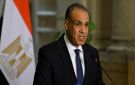 وزير الخارجية: نعيد التأكيد على ضرورة تحقيق حل الدولتين