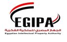 من حماية التراث إلى ابتكار المستقبل.. رئيس الجهاز المصري للملكية الفكرية يطرح رؤية مصرية في بريكس بالهند