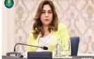 بعد شكوى الأهالي.. البيئة توقف شحن مواد كيماوية من سفينة بالدخيلة