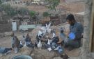 صديق الطير.. يوسف الجبالي يحكي أسرار الغية في سانت كاترين