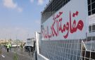 الإسماعيلية تبدأ مرحلة جديدة في التعامل مع الكلاب الحرة صور