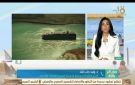 خبير: تطور ملحوظ للعلاقات التجارية بين مصر والصين وتوقعات بنمو أكبر