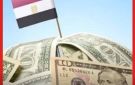 من 33 إلى 46 .. نائب يكشف تطورات خدمة الدين منذ برلمان 2012 - eg