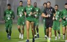 الأهلي السعودي يقترب من ضم صفقة فرنسية