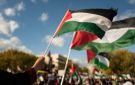 خبير علاقات دولية: مصر صمام الأمان للقضية الفلسطينية - eg