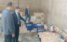 عاجل دواجن فاسدة للشاورما والسجق والكفتة.. ضبط مصنع غير مرخص وإحالته للنيابة
