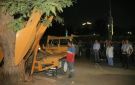 بعد سقوط شجرة بونسيانا عملاقة.. وزيرة التنمية المحلية والبيئة تتابع مع محافظ القاهرة جهود نقلها